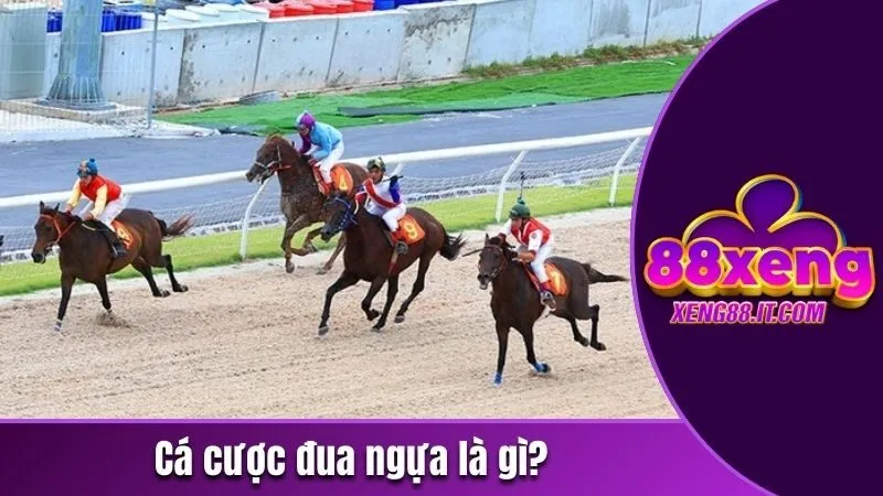 Cá cược đua ngựa là gì?